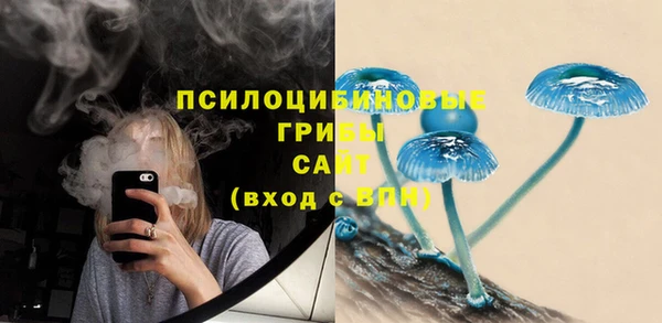 крисы Гусь-Хрустальный