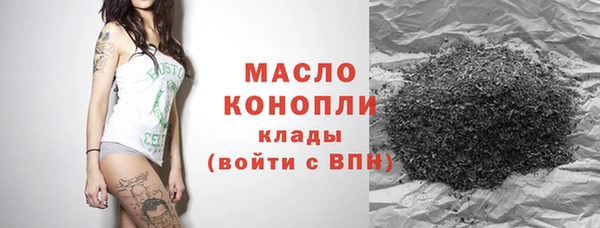 spice Гусев