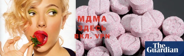 spice Гусев