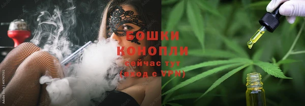 spice Гусев