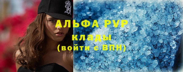 spice Гусев
